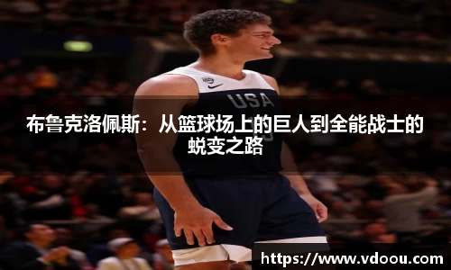 智博19有限公司